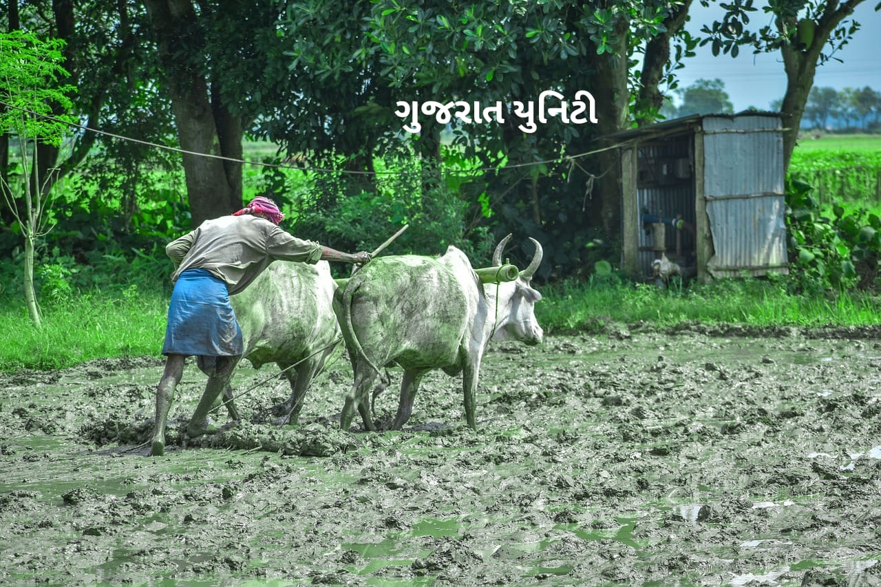 Agricultural Sahay Yojana 2024 । કૃષિ સહાય યોજના 2024